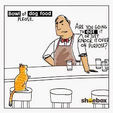 Can cats eat dog food?