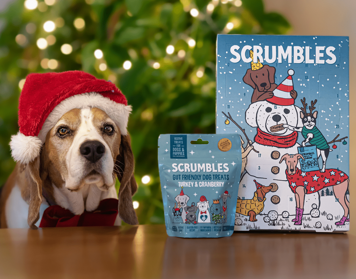 scrumbles christmas dog presents