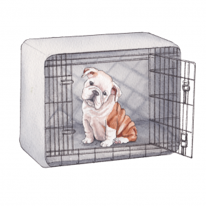 How To Crate Train A Puppy: 5 steps