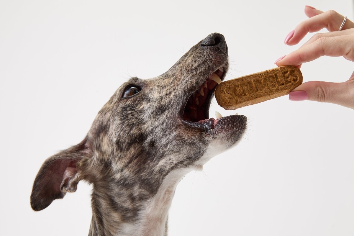 dog dental sticks