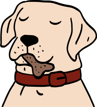 Dog Teeth: Your ultimutt guide