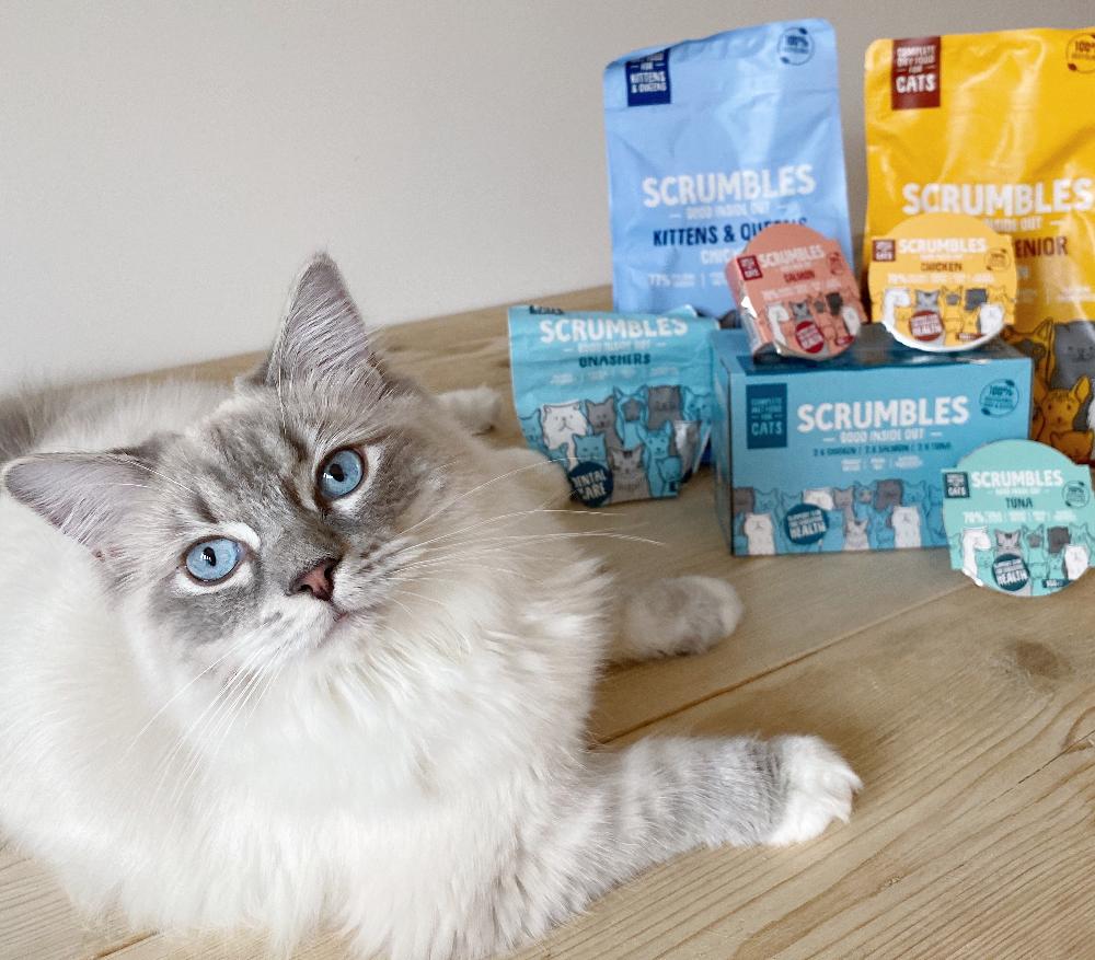 hypoallergenic cat food