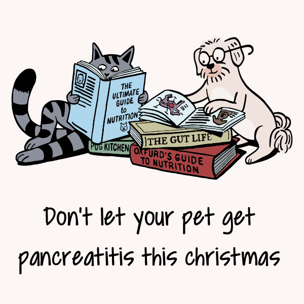 Pancreatitis in dogs & cats: feeding human food holiday leftovers..