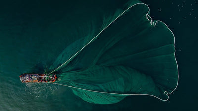 Sustainable seafood