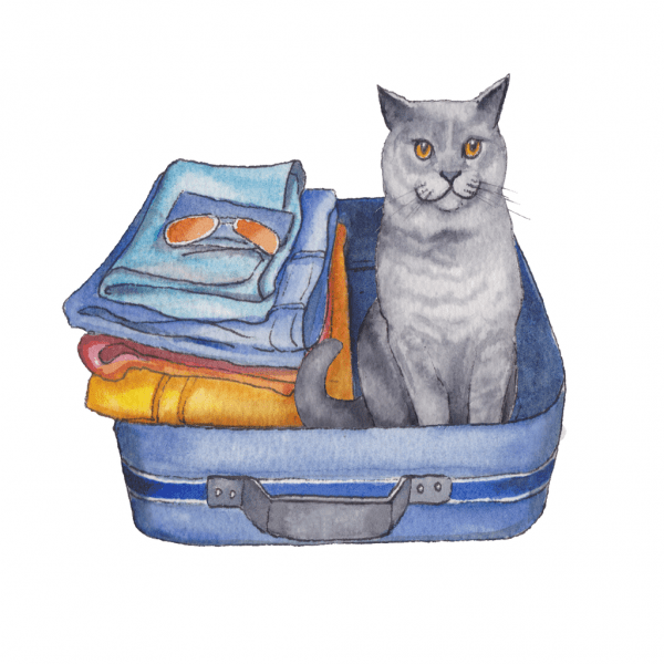 Travelling abroad with pets
