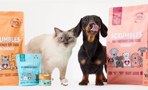 Unlocking the Secrets of Your Pet's Microbiome: A Guide for Healthier Pets..