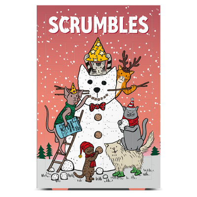 Advent Calendar For Cats
