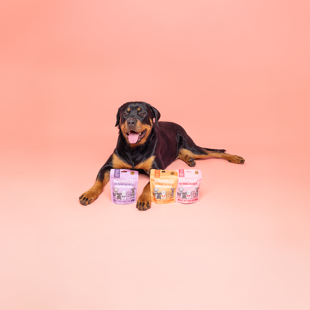 Training treats for Dogs