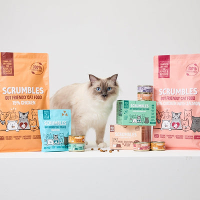 Adult Cat Food - Scrumbles: Natural Pet Food