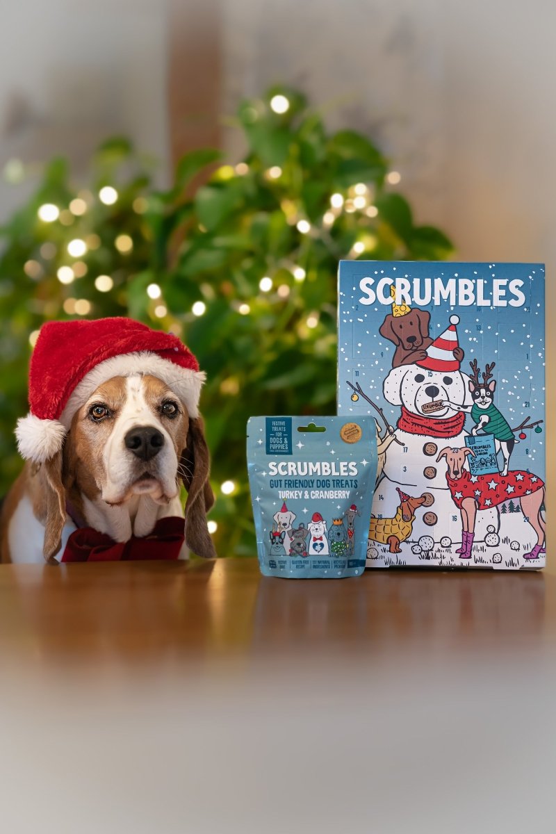Christmas Pet Food - Scrumbles: Natural Pet Food
