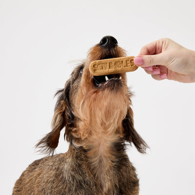 Dental Sticks for Dogs - Scrumbles: Natural Pet Food