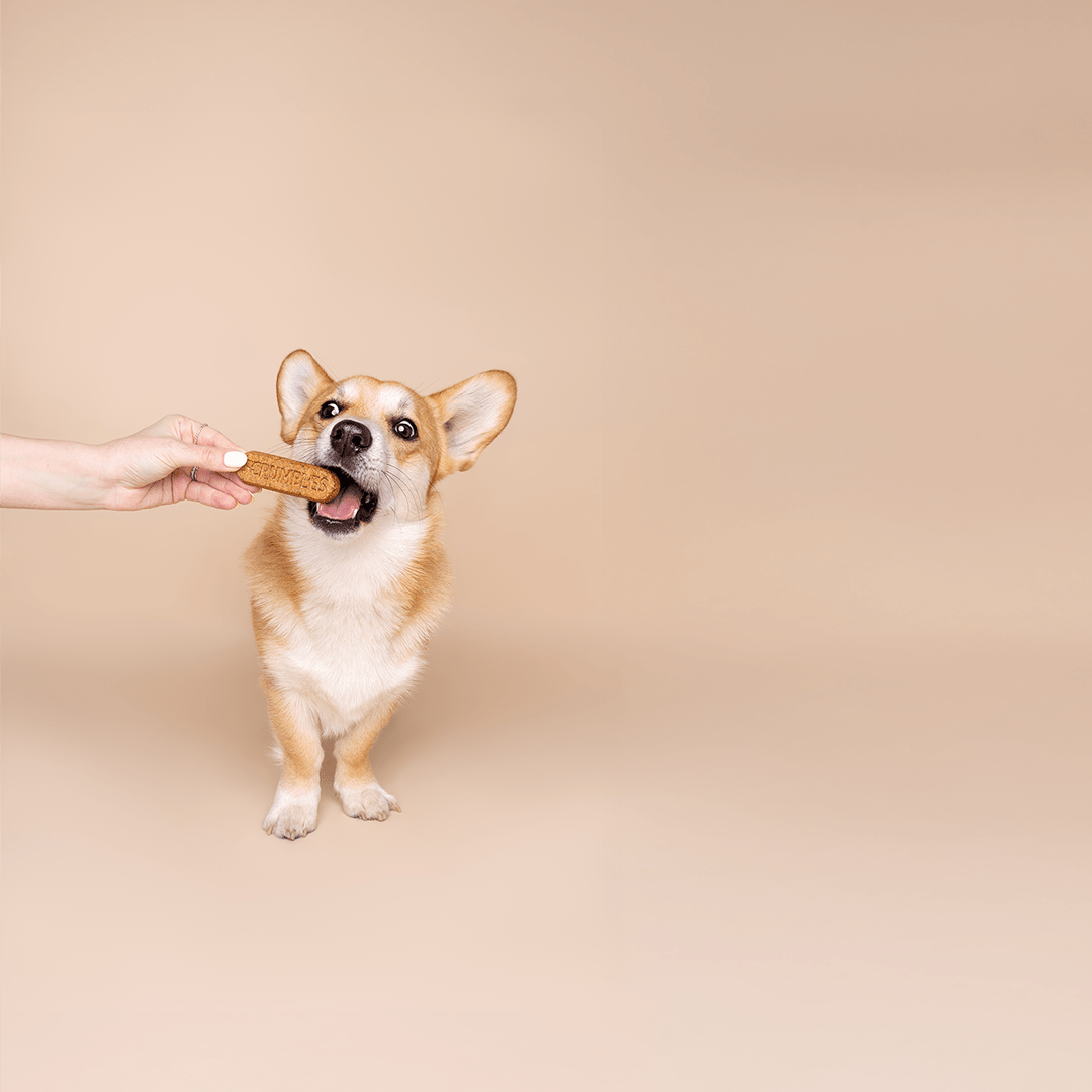 Dental Sticks for Dogs - Scrumbles: Natural Pet Food