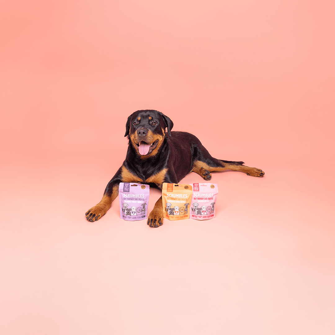 Dog Treats - Scrumbles: Natural Pet Food