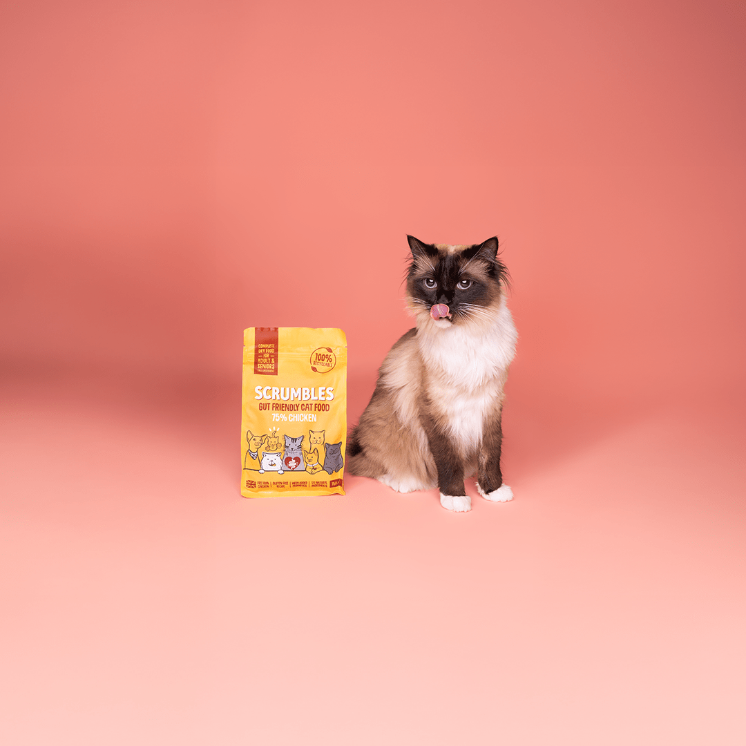 Dry Cat Food - Scrumbles: Natural Pet Food