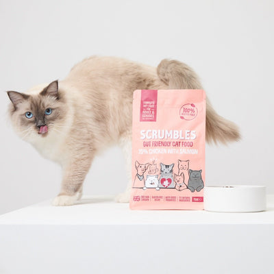 Dry Cat Food - Scrumbles: Natural Pet Food