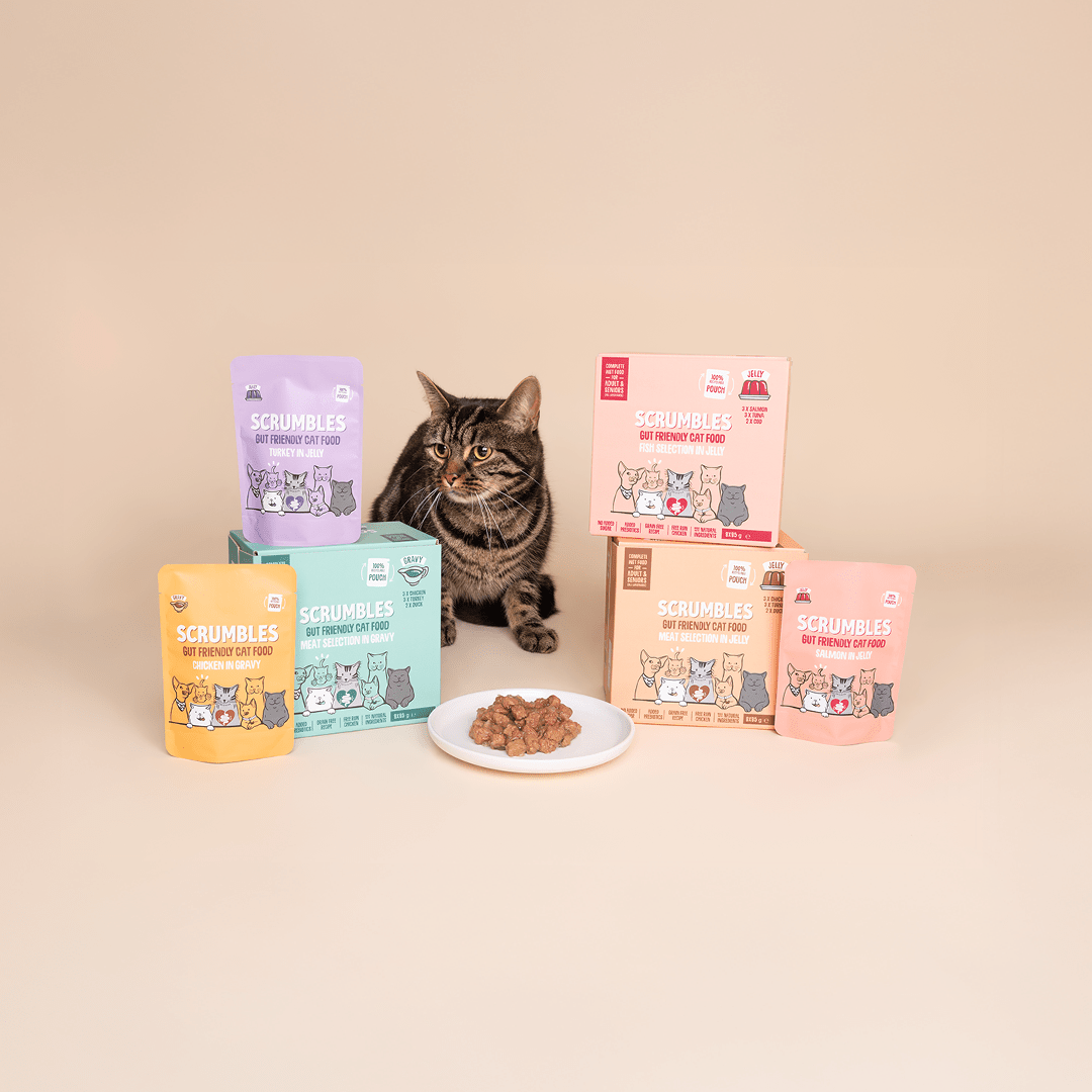 Gluten Free Cat Food - Scrumbles: Natural Pet Food