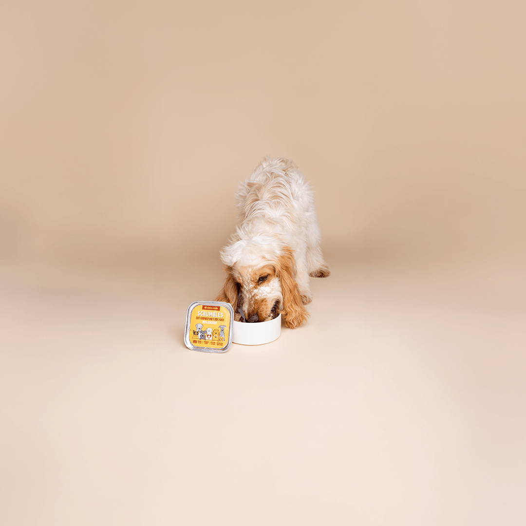 Gluten Free Dog Food - Scrumbles: Natural Pet Food