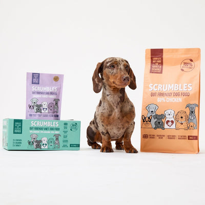 Gluten Free Dog Food - Scrumbles: Natural Pet Food
