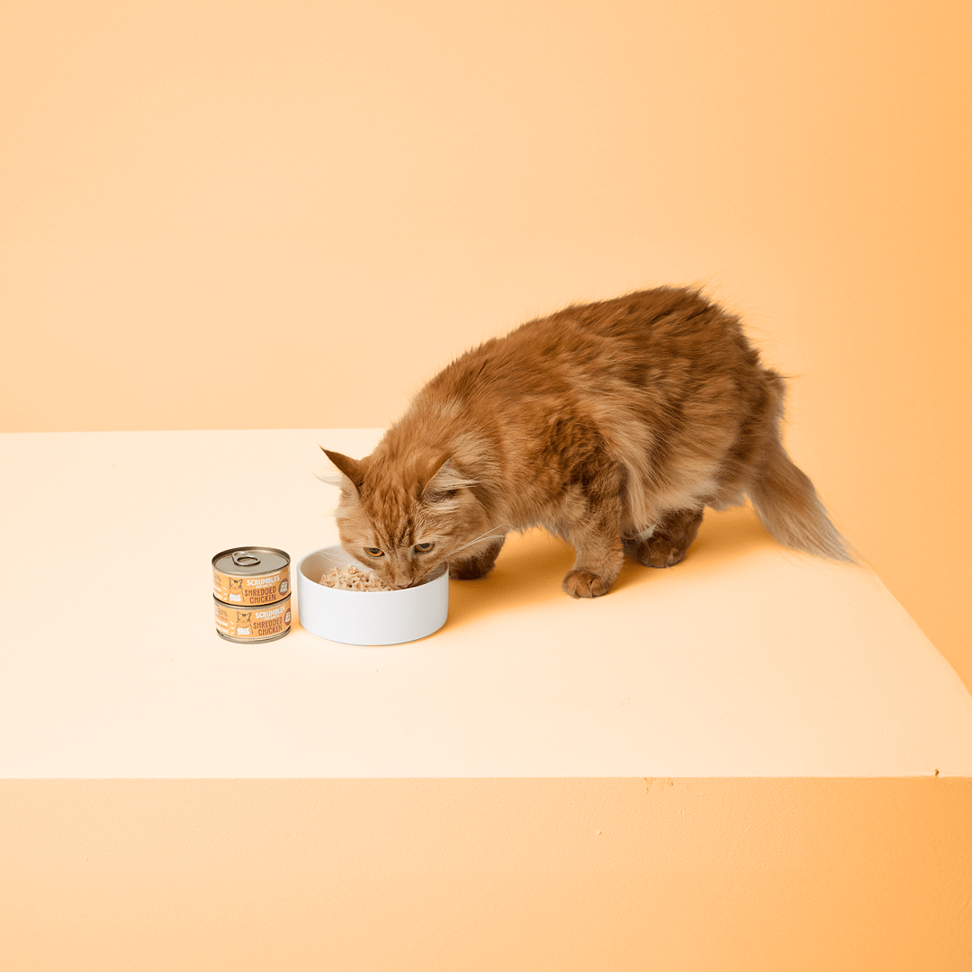 Grain Free Cat Food – Scrumbles: Natural Pet Food