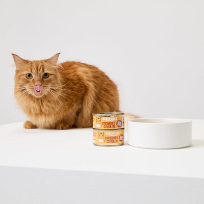 Gravy Cat Food - Scrumbles