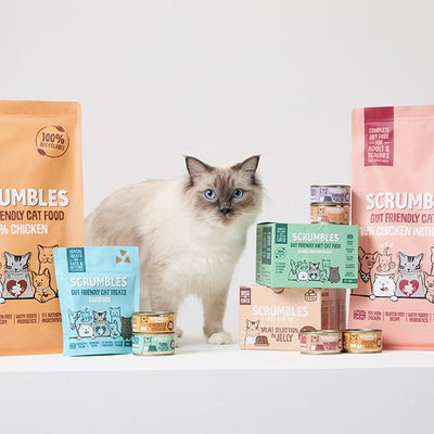 Gut-Friendly Cat Food - Scrumbles: Natural Pet Food