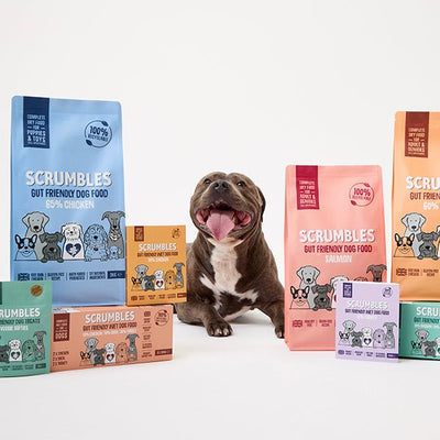 Gut-Friendly Dog Food - Scrumbles: Natural Pet Food
