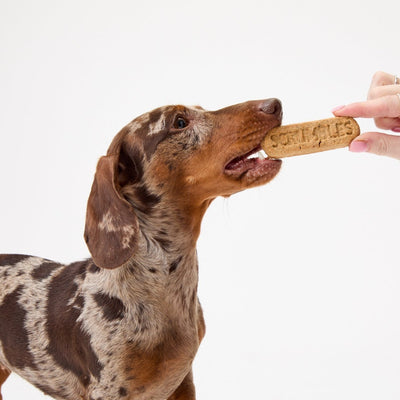 Halloween Dog Treats