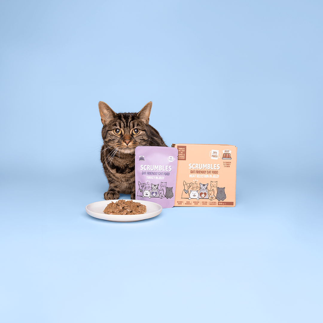High Protein Cat Food - Scrumbles: Natural Pet Food