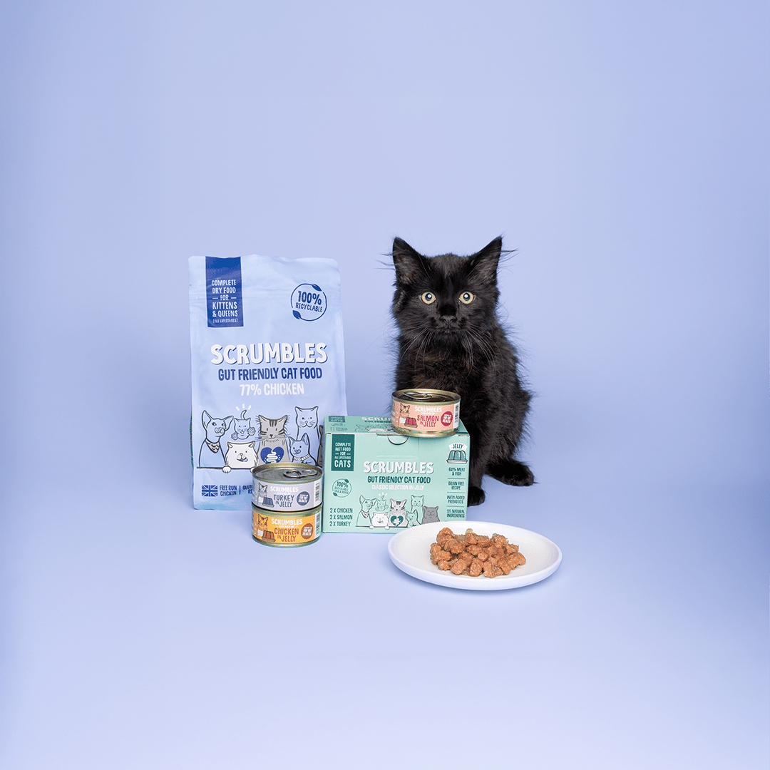 Kitten Food - Scrumbles: Natural Pet Food