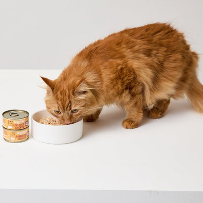 Natural Cat Food - Scrumbles: Natural Pet Food