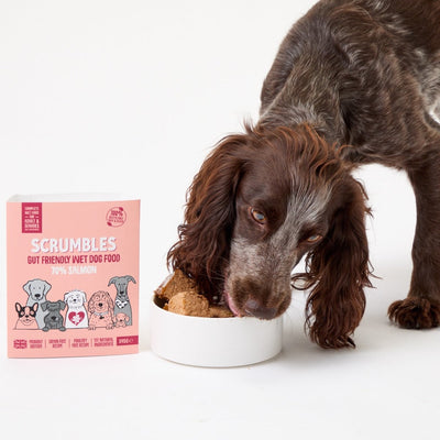 Sensitive Dog Food - Scrumbles: Natural Pet Food