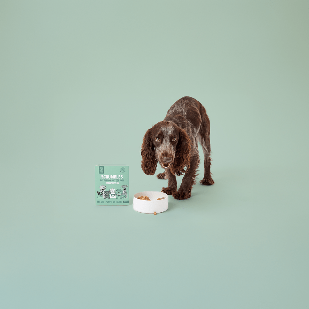 Vegetarian Dog Food - Scrumbles: Natural Pet Food