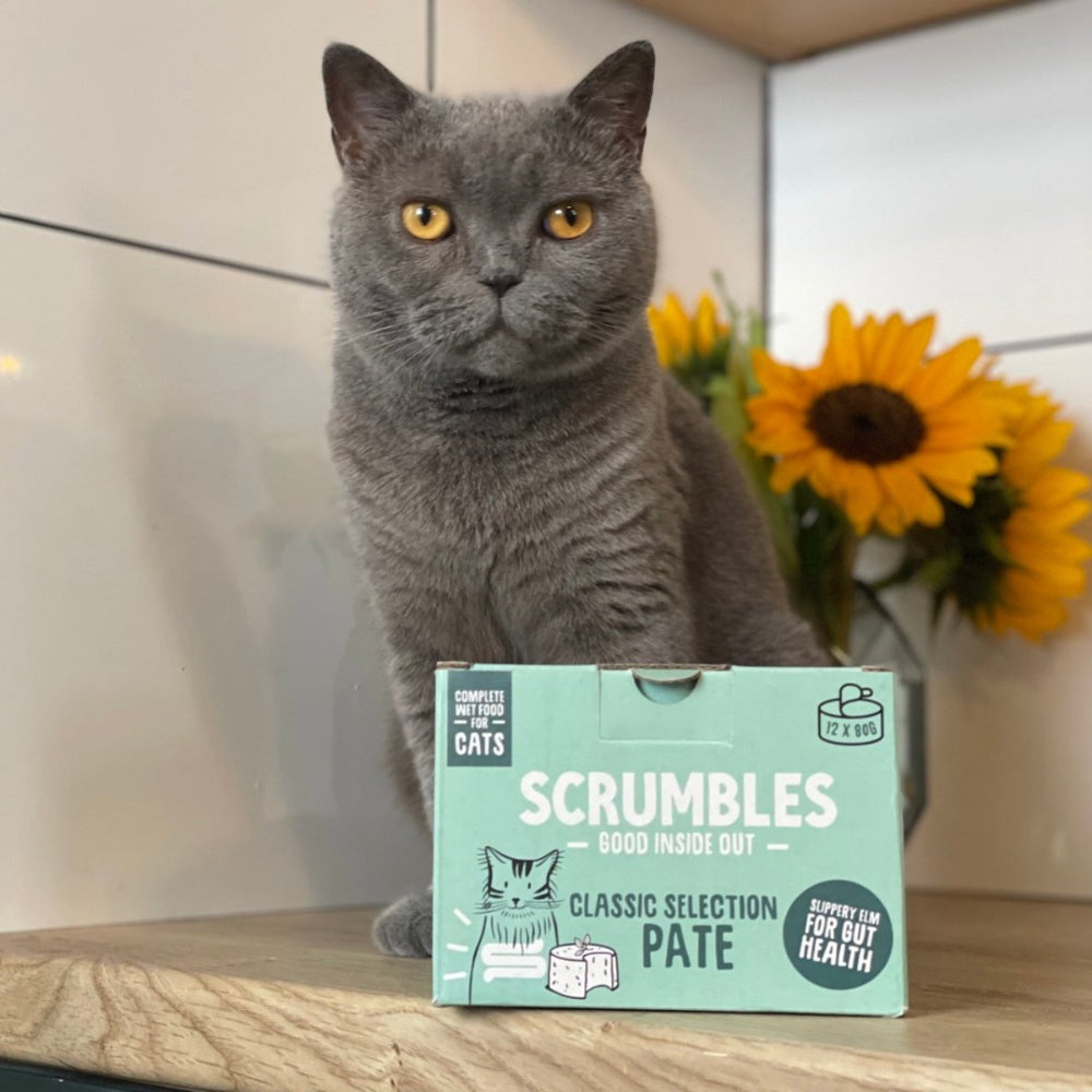 Pâté Cat Food