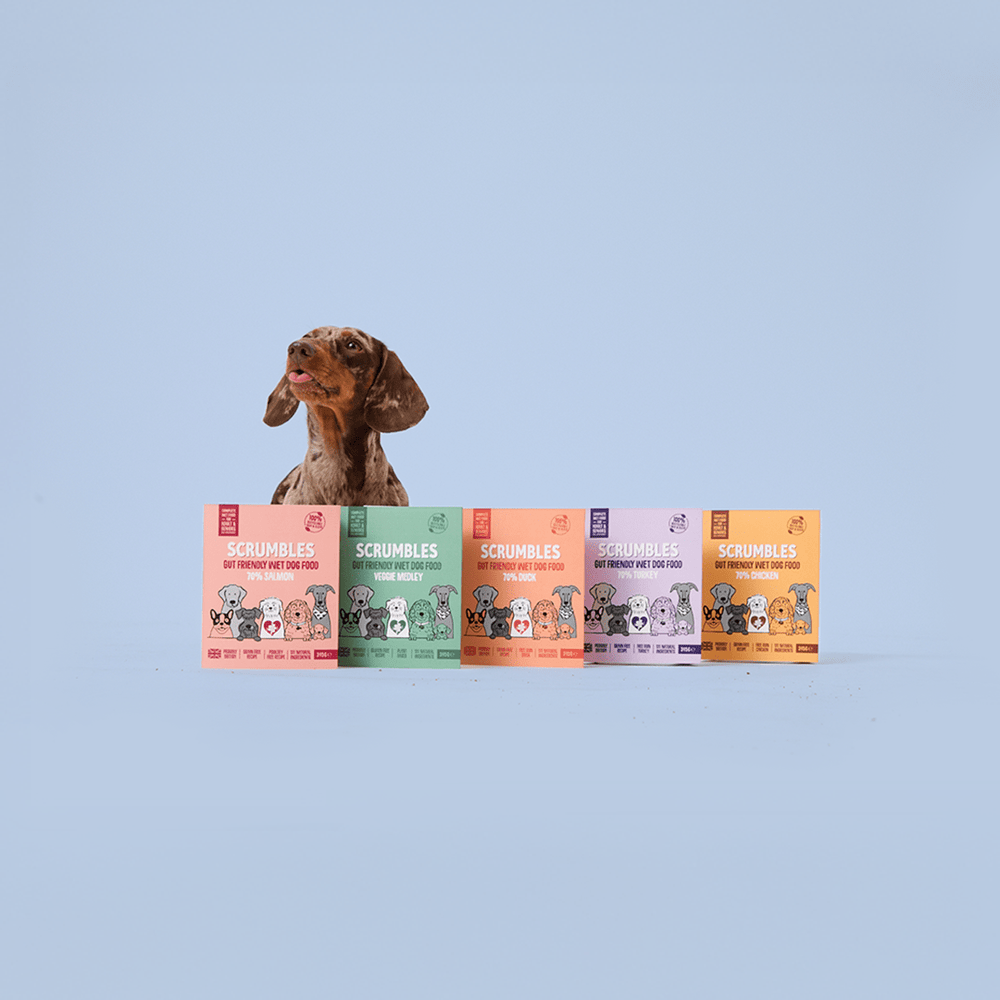 Curated visual reference: Visual Reference: Grain Free Wet Dog Food For Sensitive Dogs