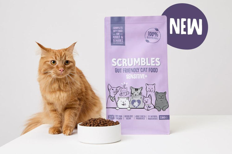 Scrumbles Salmon & White Fish nourriture sèche pour chat sans céréales