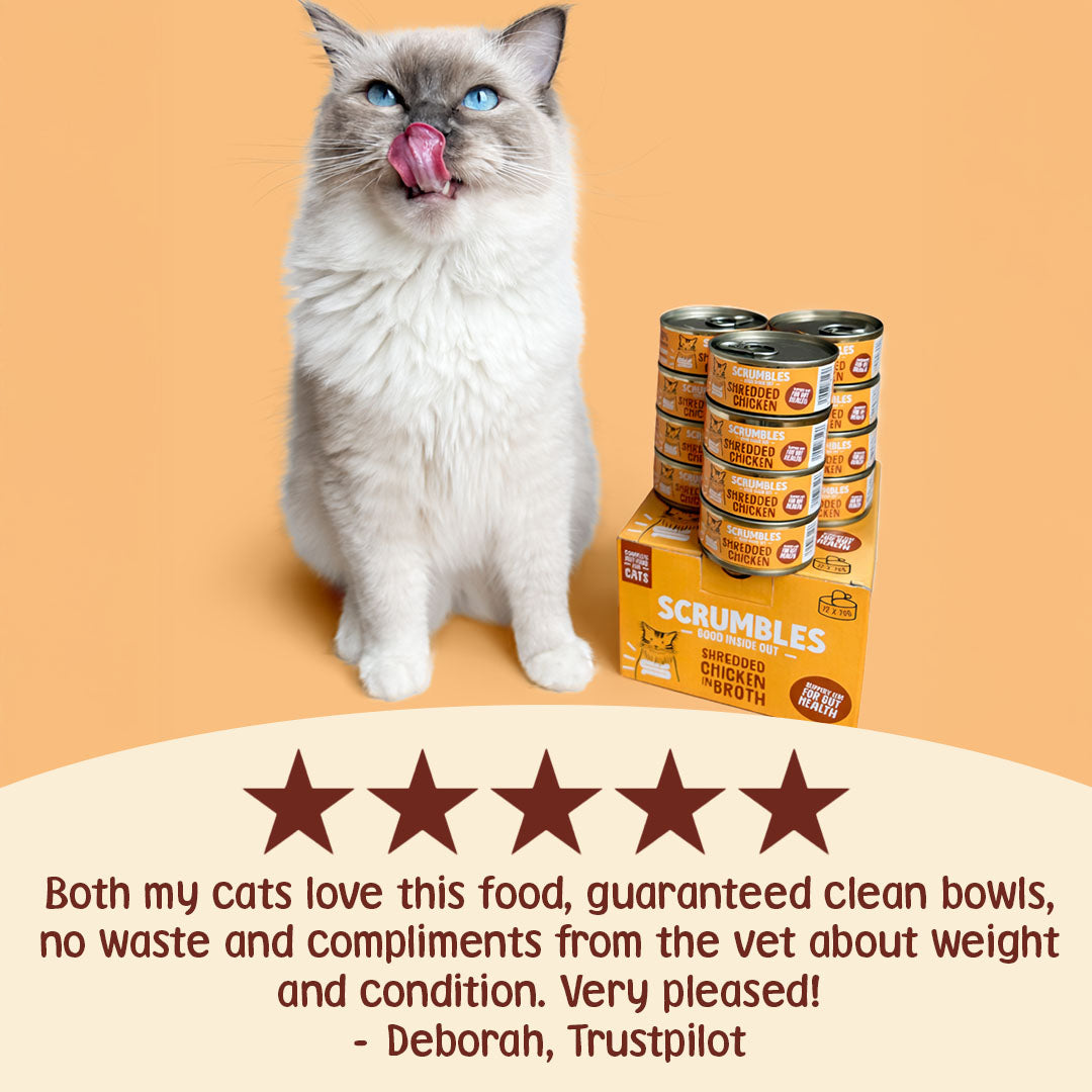 Cat with Scrumbles cat food cans and packaging on an orange background