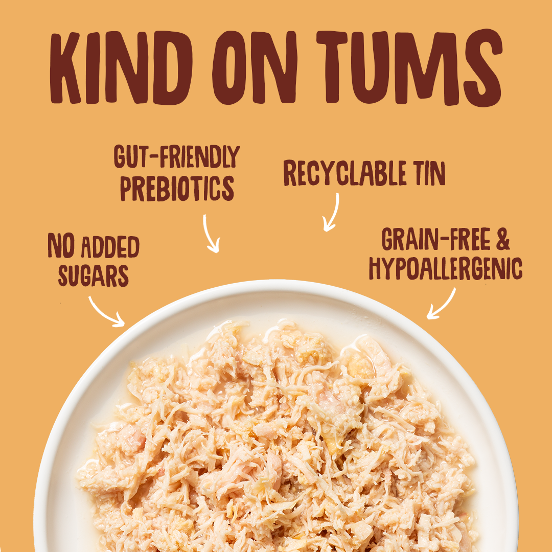 Product packaging with text highlighting features like gut-friendly prebiotics, recyclable tin, no added sugars, grain-free, and hypoallergenic on a yellow background.
