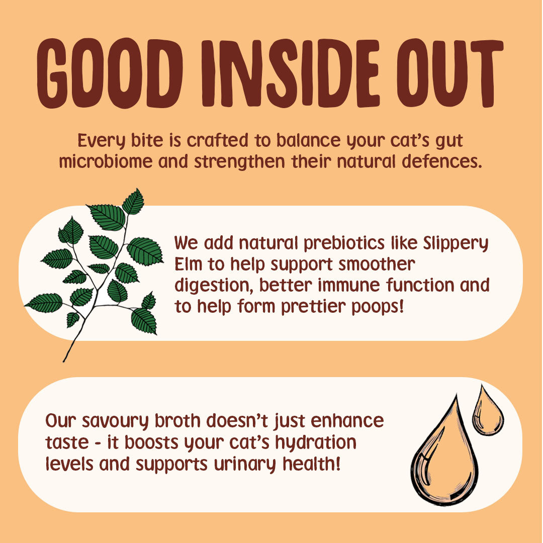 Product description for a cat food or supplement with text about gut health, prebiotics, and hydration on an orange background.