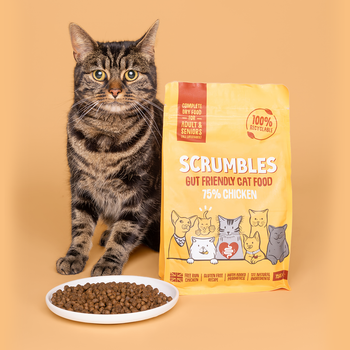 Chicken Dry Cat Food