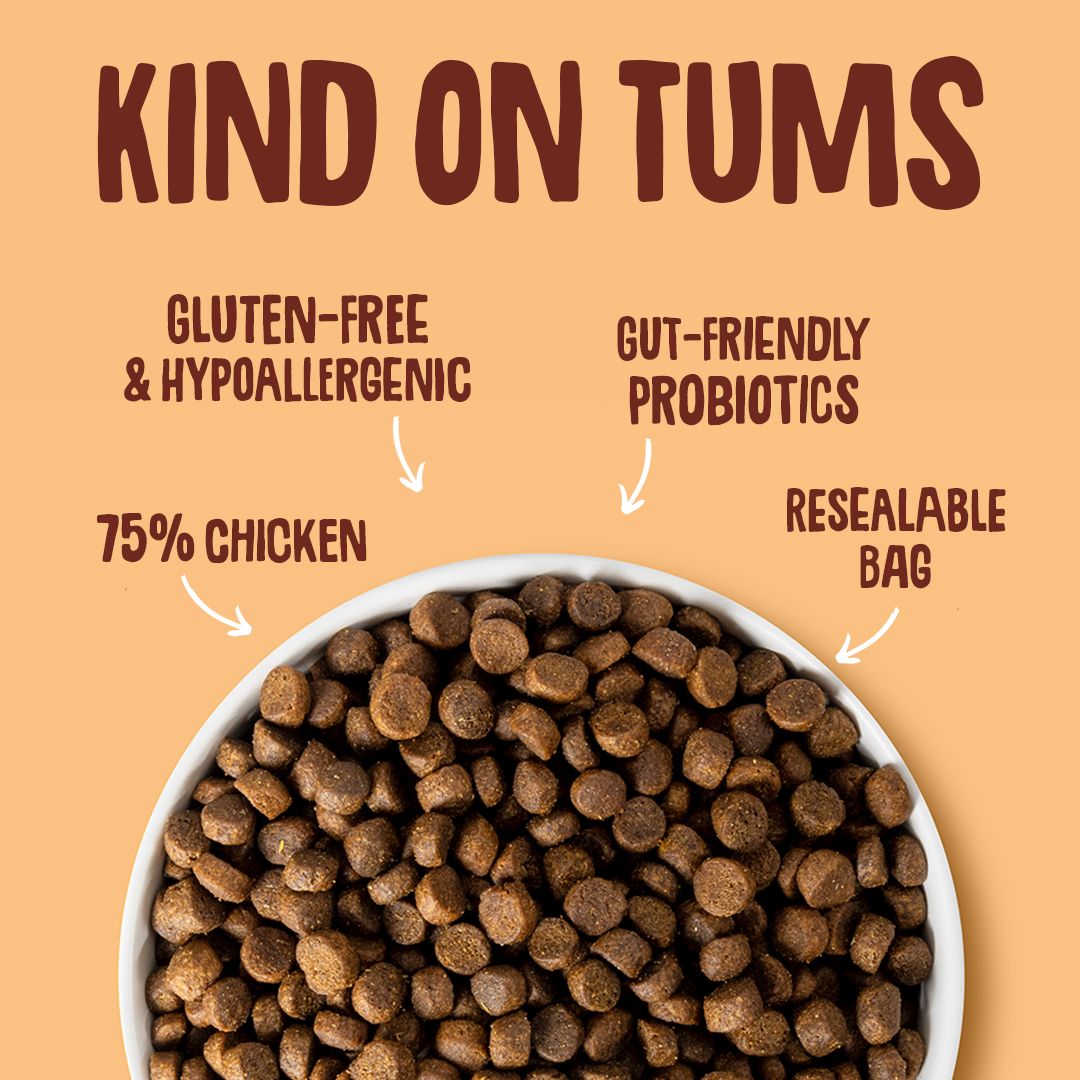 Chicken Dry Cat Food Gut Friendly