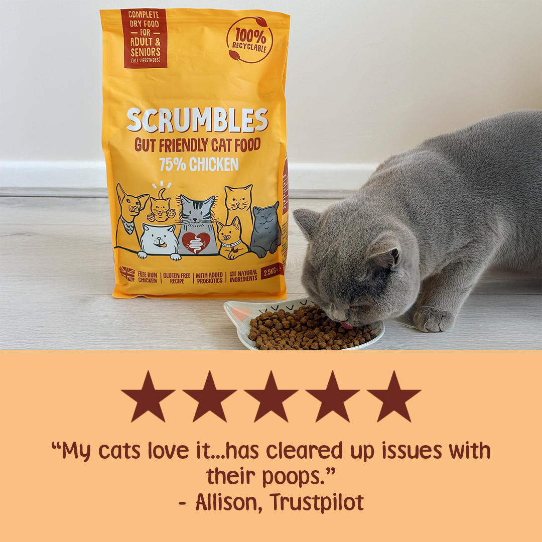 Chicken Dry Cat Food Review