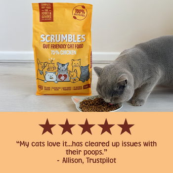 Chicken Dry Cat Food Review