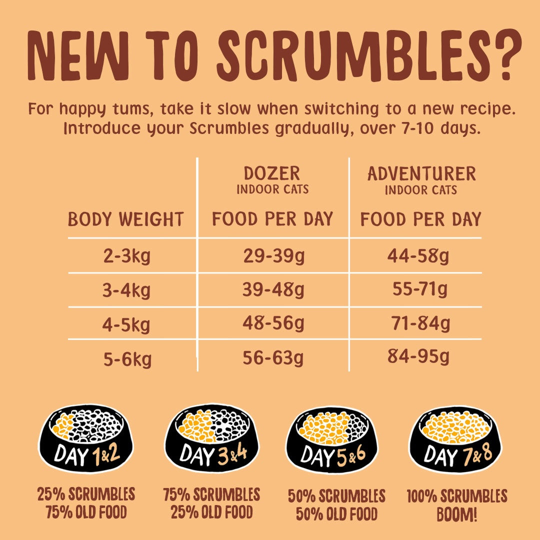 Chicken Dry Cat Food Feeding