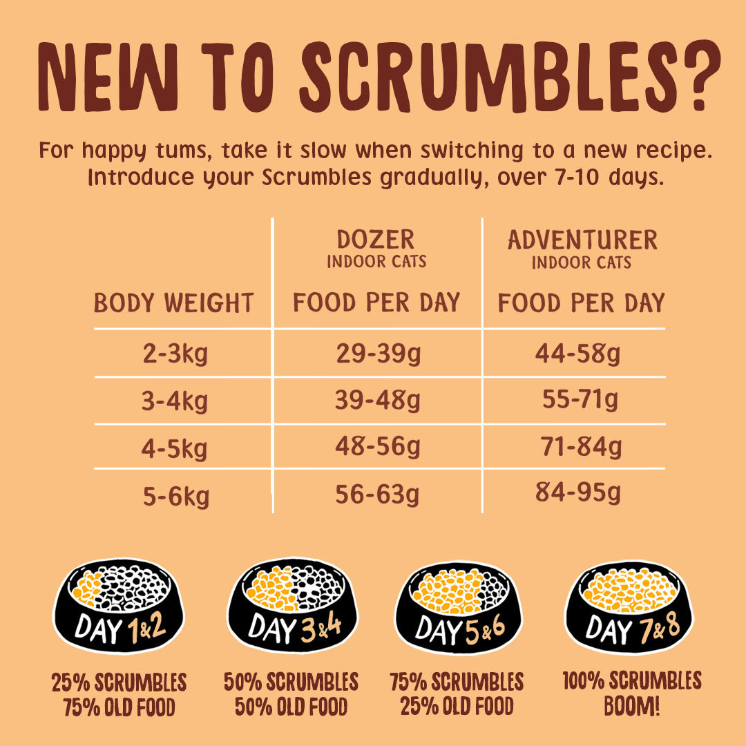 Chicken Dry Cat Food Feeding