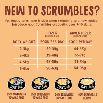 Chicken Dry Cat Food Feeding