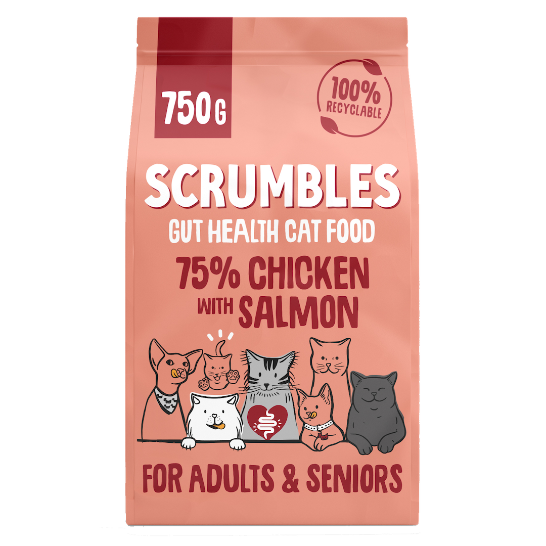 Chicken & Salmon Dry Cat Food