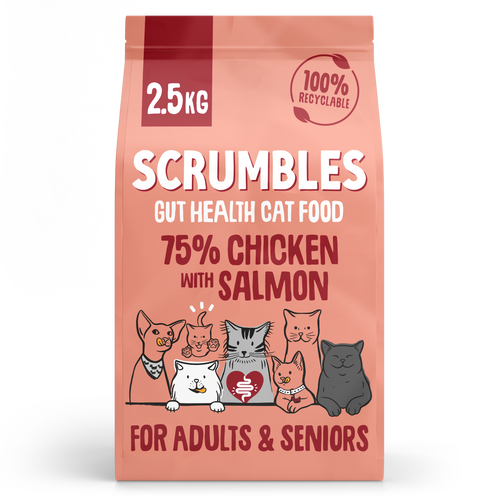 Chicken & Salmon Dry Cat Food