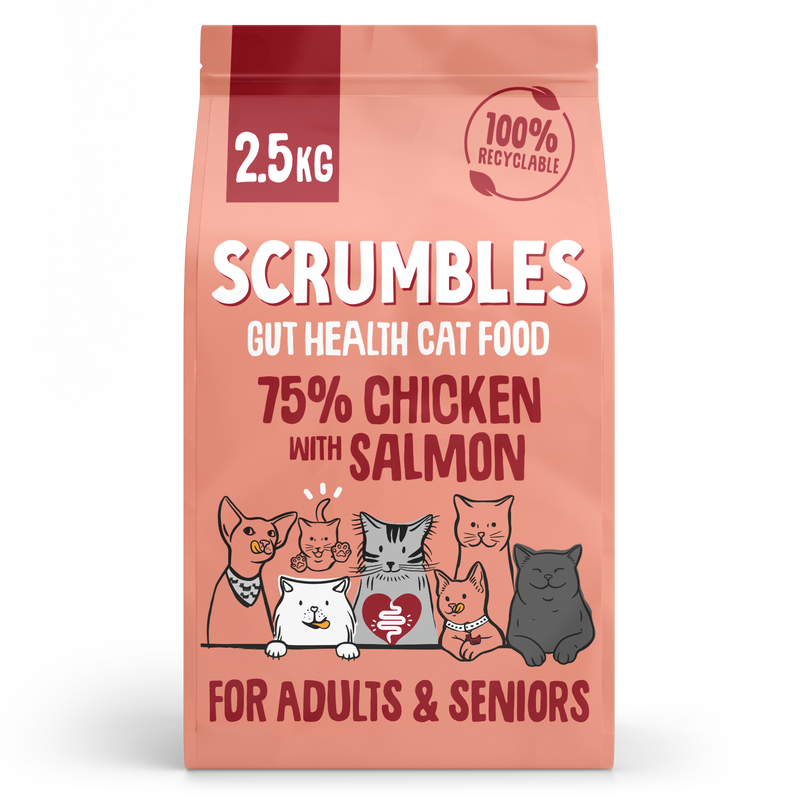 Chicken & Salmon Dry Cat Food