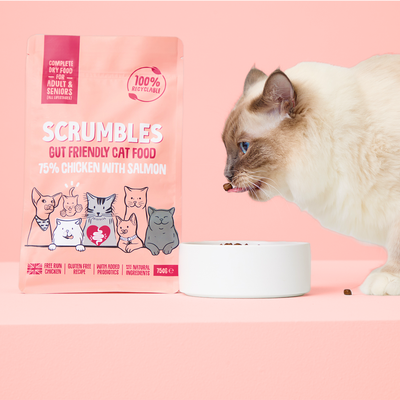 Chicken & Salmon Dry Cat Food