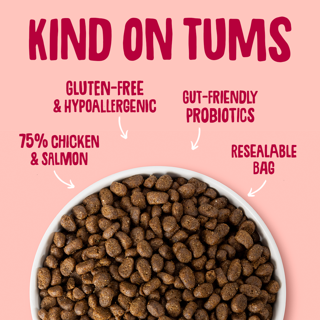 Chicken & Salmon Dry Cat Food Gut Friendly